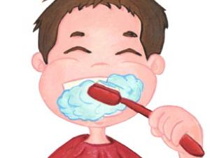 Savoir se brosser les dents 6383547